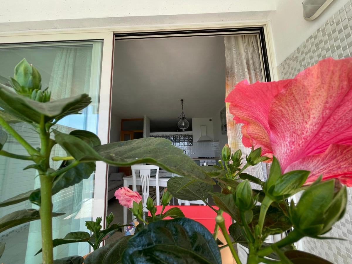 A Casa Di Silvia Apartment Gambassi Terme Exterior foto